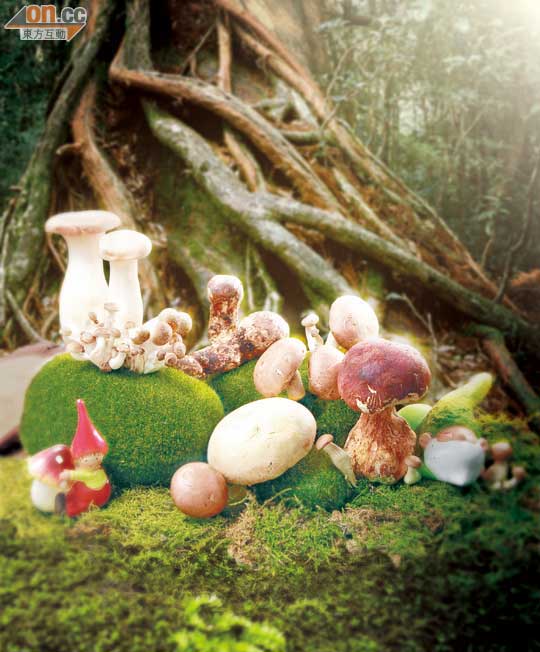 Seasonal Fungus 食勻意法日