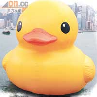 走Duck後，影咩好？