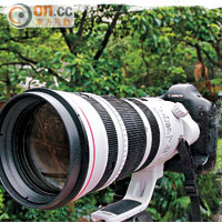 變種狙擊手Canon EF 200-400mm F4L IS USM Extender 1.4×