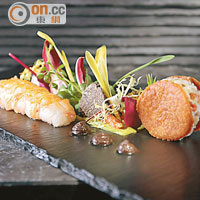 dining out：將黑鑽食落肚