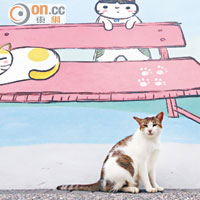 台灣猴硐漆彩貓國
