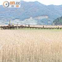 全羅南道漫遊淨土