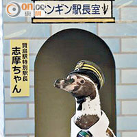 日本限定企鵝列車