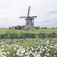荷蘭最大風車群　小孩堤防　抽水力強