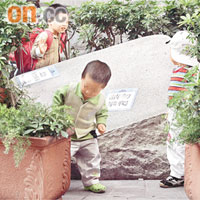 寶達邨的小童喜歡三五成群闖入「石頭樂園」。
