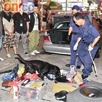 警方押疑犯搜查房車時，警犬亦在場協助。