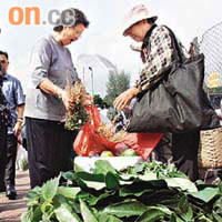 大埔區內居民愛向長者購買新鮮的農產品。	鍾麗珊攝