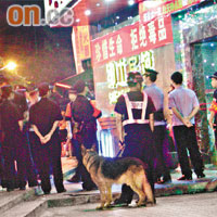 福田警方出動警犬，在被搜查的娛樂場所戒備。