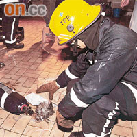 消防員用氧氣為狗隻急救。