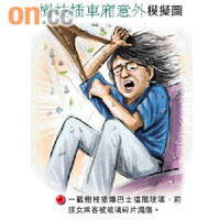 樹枝插車廂意外模擬圖