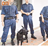 失蹤個案如不涉及刑事成分，會轉介失蹤人口組跟進。