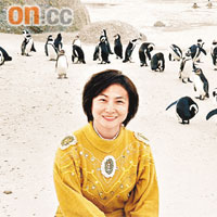 九八年梁太遊南非巧遇一群企鵝，當時個樣同依家冇乜分別。