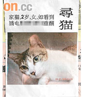 貓主曾在街頭張貼「尋貓街招」。