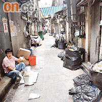旺角不少食肆的後巷都堆滿垃圾及食物殘渣，成為老鼠的理想居所。