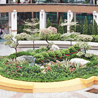 隆亨邨的噴水池剛被改裝成「龍船花圃」。