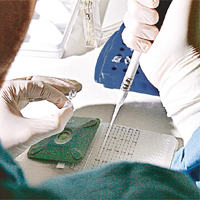英國生物科技公司研製預防豬流感疫苗，遭質疑所含水銀及鯊烯分量是否有問題。(Getty Images圖片）