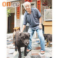兩度救主的藏獒犬。