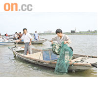 陽澄湖大閘蟹約於本月二十一日試捕上市。	資料圖片