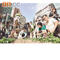 市民在代表高鐵車軌的泥路上鋪上青菜，呼籲保留綠色生境。
