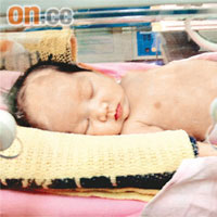 涉案嬰屬早產嬰兒。	資料圖片