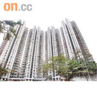 師奶大話精曾在康怡花園任職留宿傭工。	資料圖片