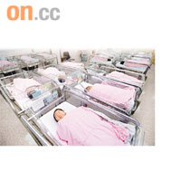 新生嬰兒一般靠床頭資料、手帶及腳鈪識別身份。	資料圖片