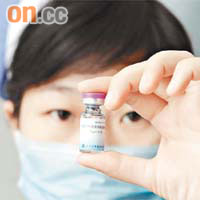 為防豬流感肆虐，北京已成功研製及生產預防疫苗。	（資料圖片）