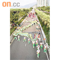陸上巡遊道路兩旁皆是樹叢，市民和遊客難以觀賞。