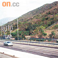 北大嶼山公路綠化成效失敗，政府將動用七千萬元再植樹。