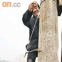 重慶有養魚戶將小白鷺拴在電線杆上示眾。