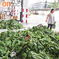 菜場工人清理的「垃圾」，大部分是新鮮蔬菜。