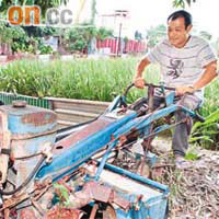 梁廣聯下月便會用拖拉機收割稻米。