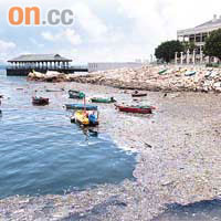 海中漂浮的垃圾對海洋生物影響深遠。圖為赤柱美利樓對開海旁，海面布滿垃圾。