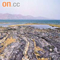 荔枝莊的火山岩和沉積岩早於白堊紀早期形成。