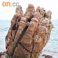 黃竹角咀的古老岩石「鬼手」，是必看景點之一。	香港地貌岩石保育協會提供 