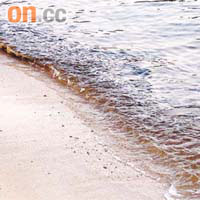 長洲東灣昨受紅潮影響，海水呈褐色。