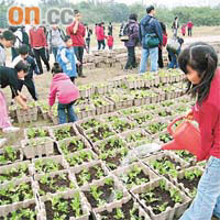 二百名學生及家長昨在西九龍海濱長廊種植蔬菜。