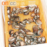本港市面有售的活鮑魚七成來自內地。	資料圖片