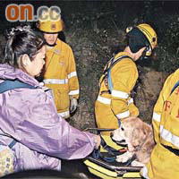 女狗癡及愛犬由消防員救出。