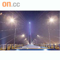 昂船洲大橋的橋塔將設有LED燈飾，彰顯大橋作為香港新地標的特色。