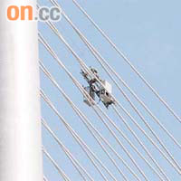 昂船洲大橋日前發生工人半天吊事故，出事吊籃至今仍懸掛半空。