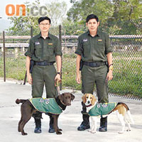 新增的兩隻檢疫偵緝犬將於下周一執勤，左為Zane，右為Maggie。	政府新聞處圖片