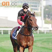 全球評分第二最高馬匹「好爸爸」力圖完成「國泰航空香港一哩錦標」三連冠霸業。