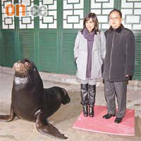陳仲尼同太太區海倫一齊睇海獅，太太笑得好開心。