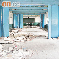 嶺文小學的校舍空置多年，假天花全部倒塌，布滿一地。
