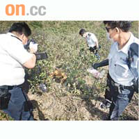死者僅穿內褲倒臥山邊草叢。	歐展鴻攝