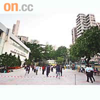 花農獲准租用界限街室內運動場的空地擺賣年花。
