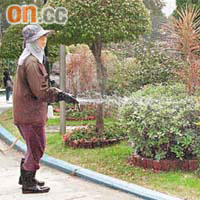 康文署在九龍公園大部分的花圃使用化學肥料施肥。