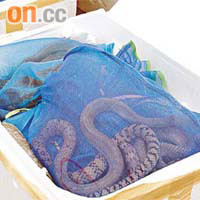 活生生的水律蛇放在麻包袋內。