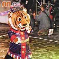 Q版老虎伴着歌樂聲步入巡遊會場。